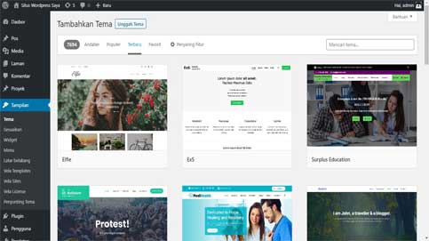 Cara Memasang Tema di Wordpress
