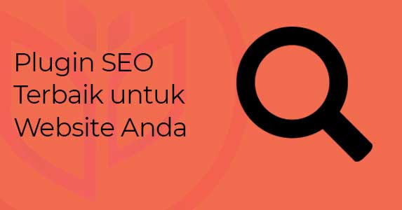 Plugin Seo